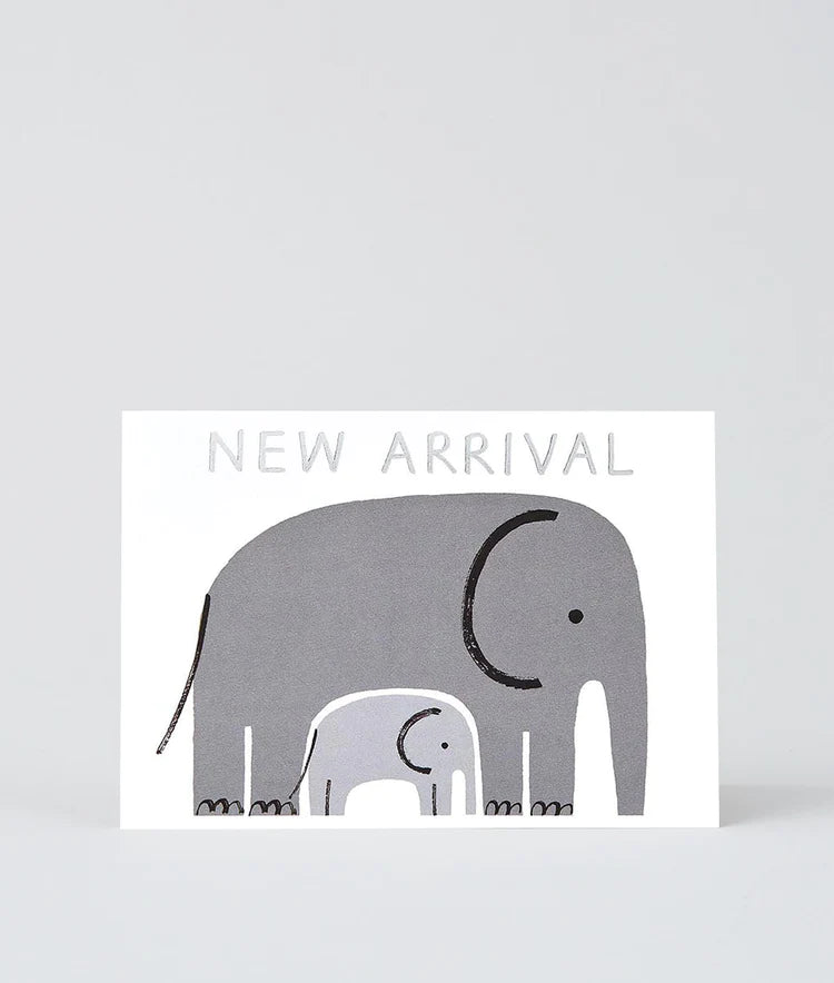 new-arrival-baby-elephant-a.webp