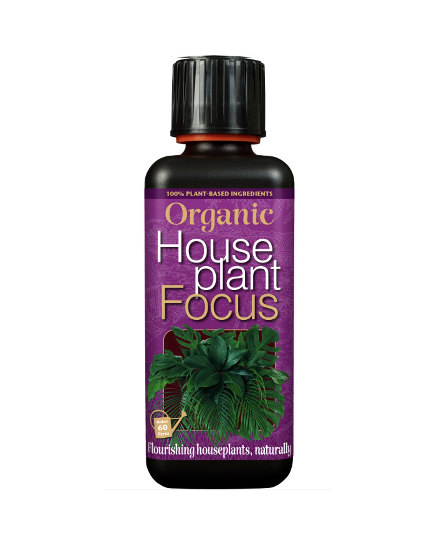 Organic House Plant Focus 300ml