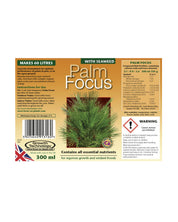 Palm Focus 300ml