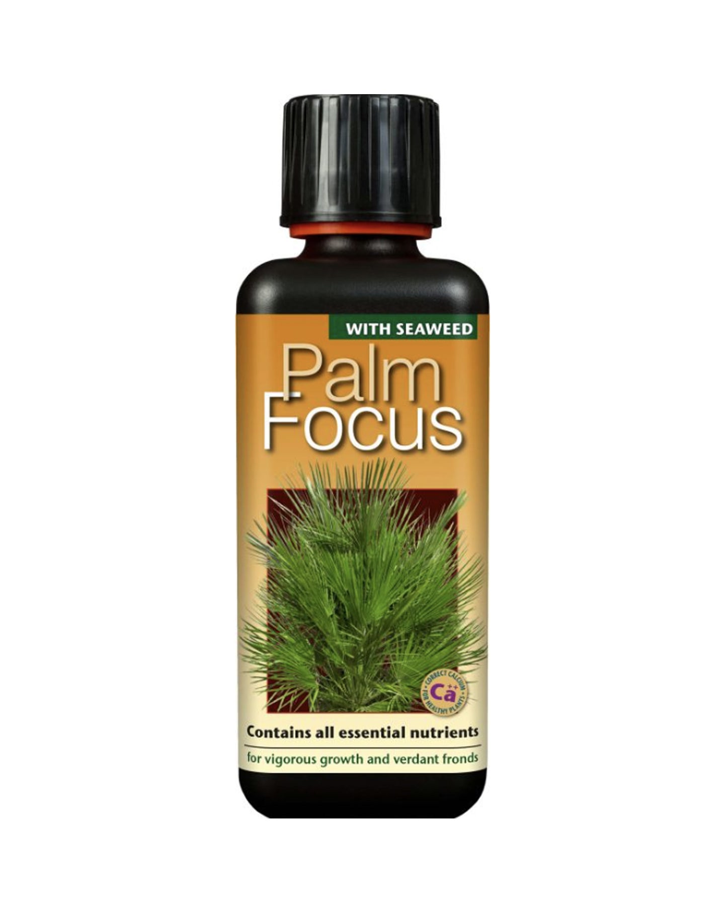 Palm Focus 300ml
