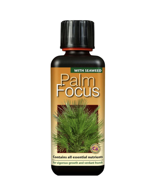 Palm Focus 300ml