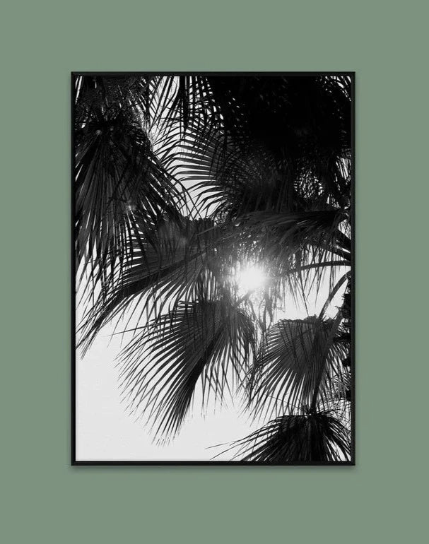 Palm Trees Print