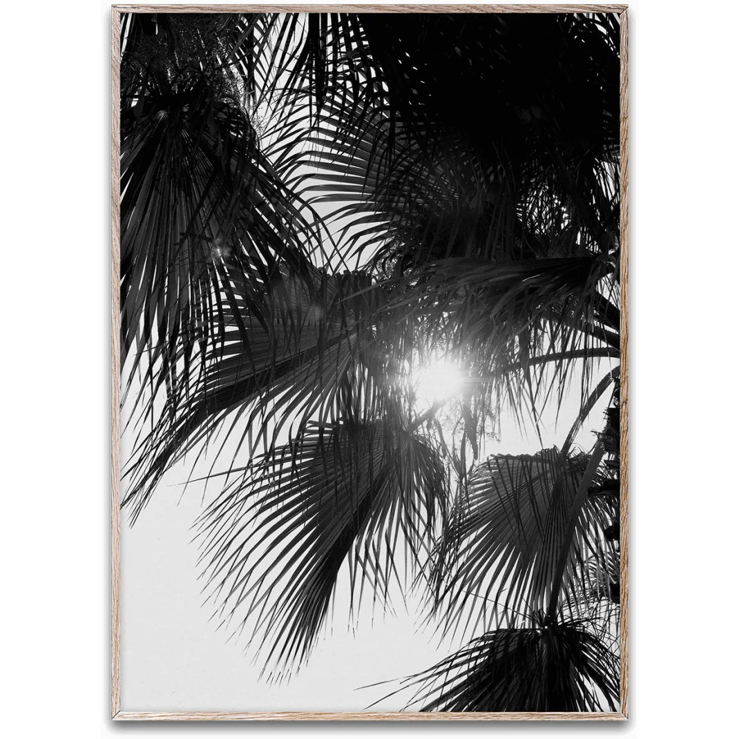 Palm Trees Print