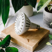 Pianta 30 Grow Light LED Bulb | White
