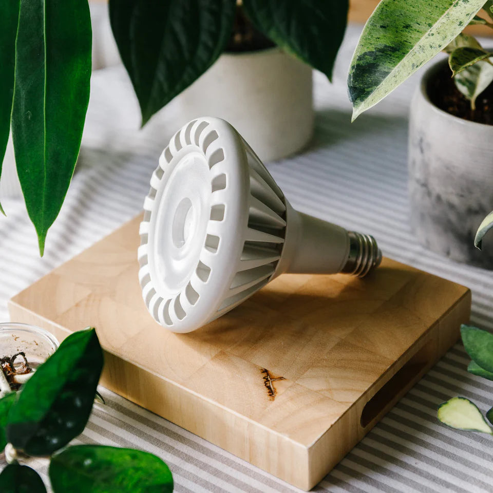 Pianta 30 Grow Light LED Bulb | White