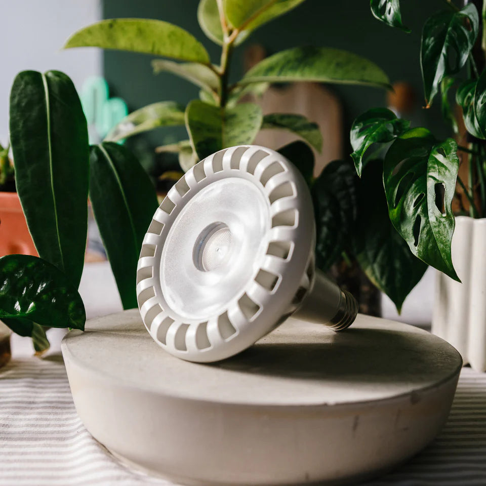 Pianta 30 Grow Light LED Bulb | White