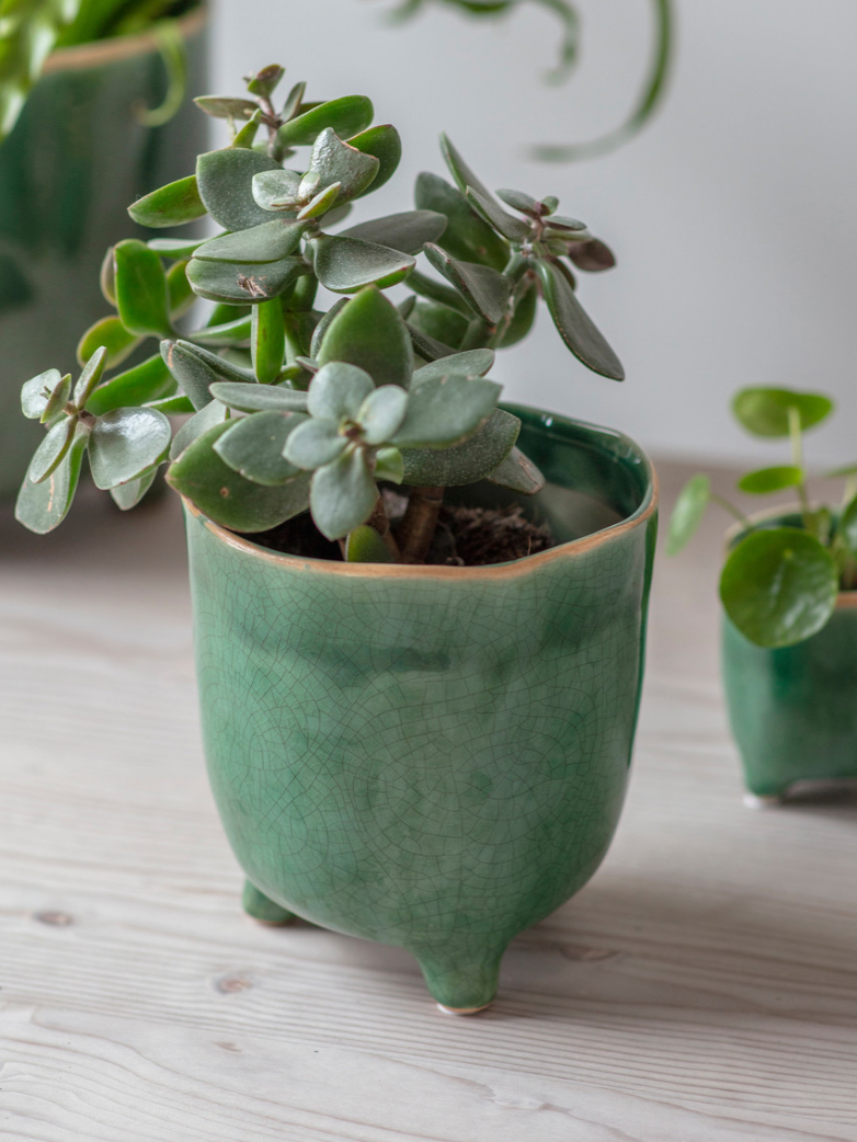 Positano Pot | Ø7.2cm, Ø13.5cm, Ø20cm| Forest Green / Soft Stone