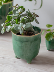 Positano Pot | Ø7.2cm, Ø13.5cm, Ø20cm| Forest Green / Soft Stone