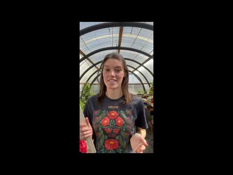 Women’s Gardening Gloves