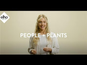 Smart Pebble | Plant Care