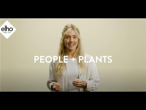 Smart Pebble | Plant Care