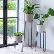 Saluzzo Plant Stand | Black 44cm