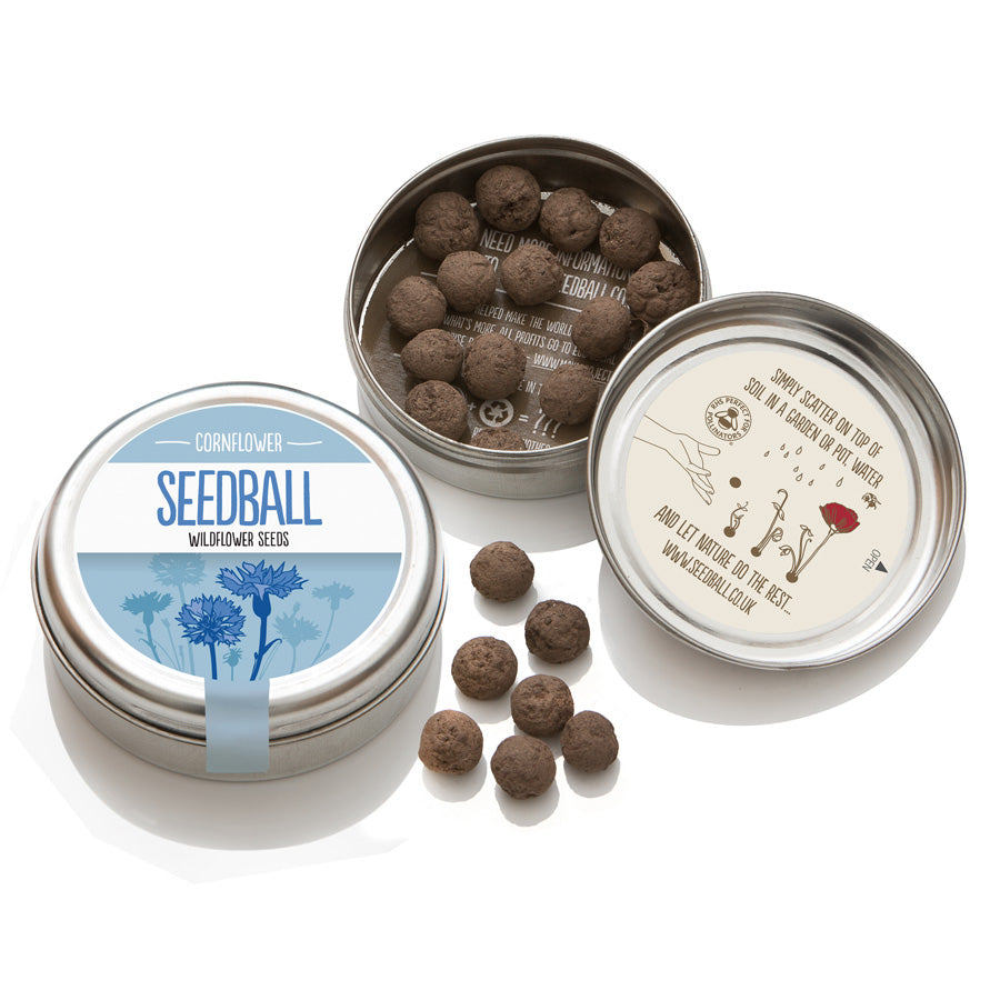 Cornflower Seed Tin