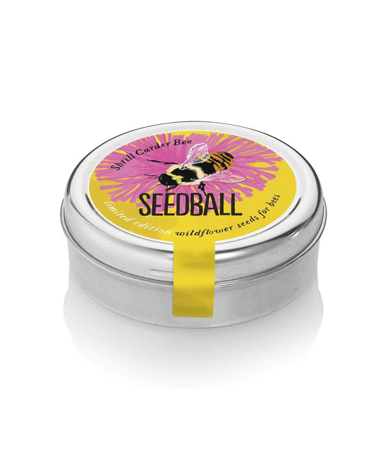 Shrill Carder Bumblebee Mix Seed Tin