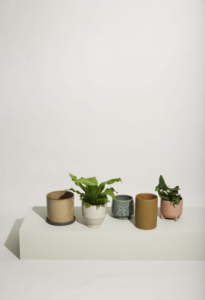 Rose-coloured ceramic plant pots. Perfect for kitchen herbs, try two of them side by side for impact or as part of a still life of all your ceramics. 