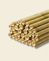 Bamboo Canes x3 | Plant Supports