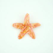 Coucou Suzette | Starfish Hair Clip