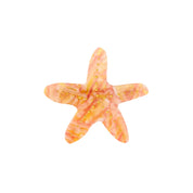 Coucou Suzette | Starfish Hair Clip