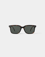 Sunglasses #L ‘Tortoise’