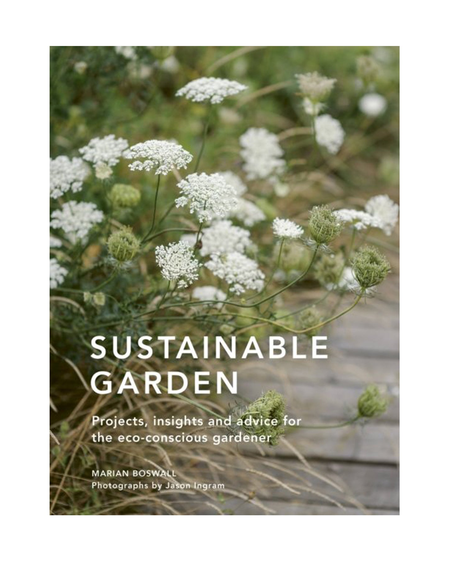 Sustainable Garden: Projects, insights and advice for the eco-conscious gardener