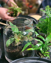 photo of terrarium being made at a workshop