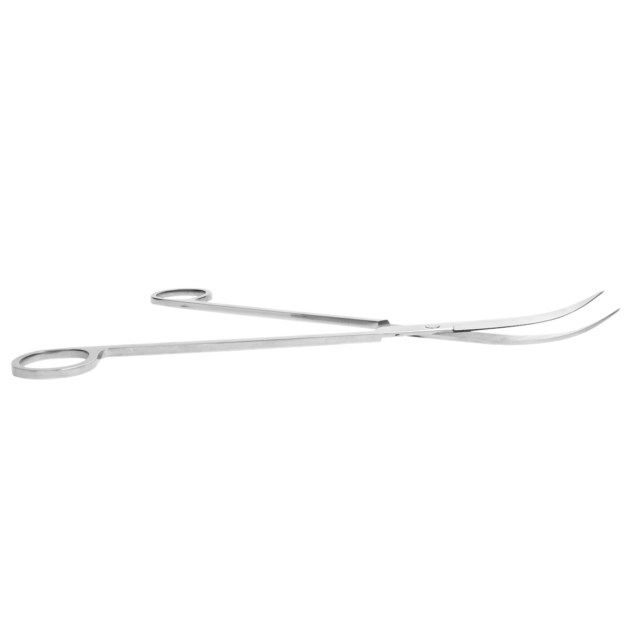 Terrarium Scissors