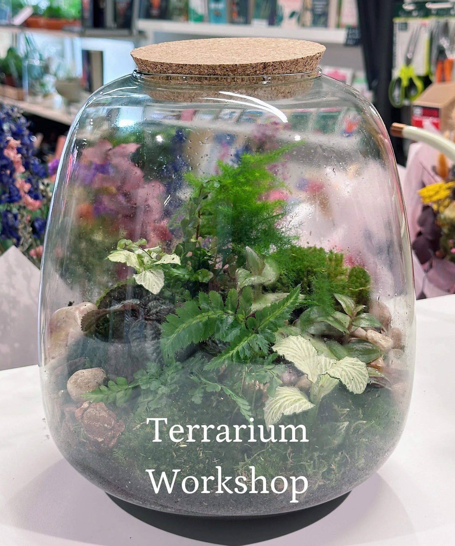 photo of terrarium on table with title terrarium workshop