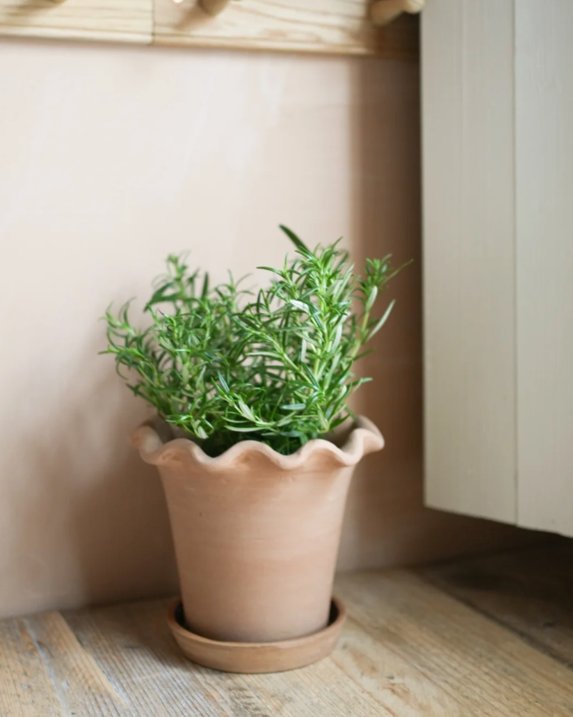 The Frilly Plant Pot