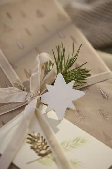 Velvet Ribbon On Spool | Light Pink 10m