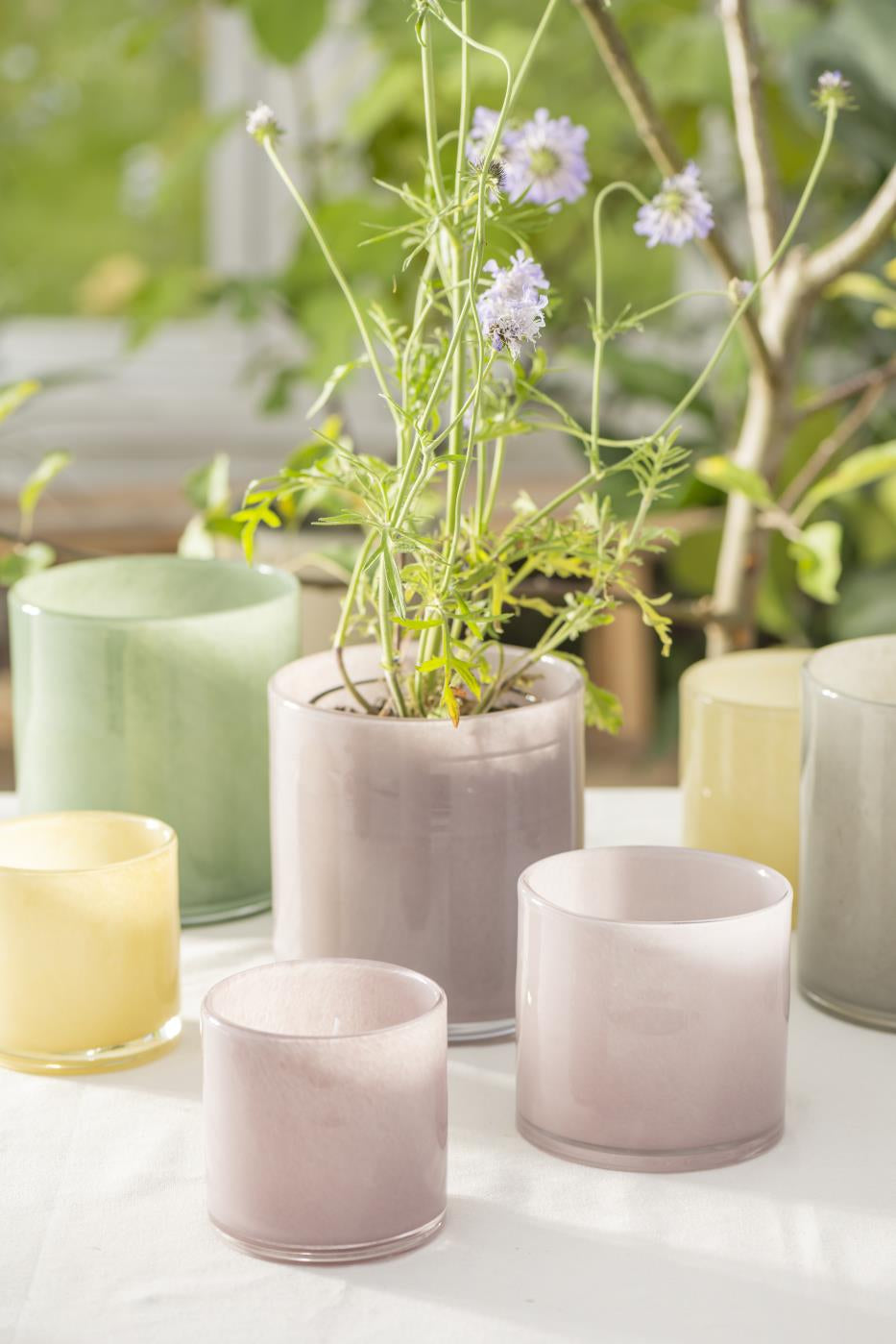 Venecia Glass Vase or Plant Pot | Medium