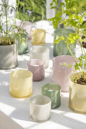 Venecia Glass Vase or Plant Pot | Large