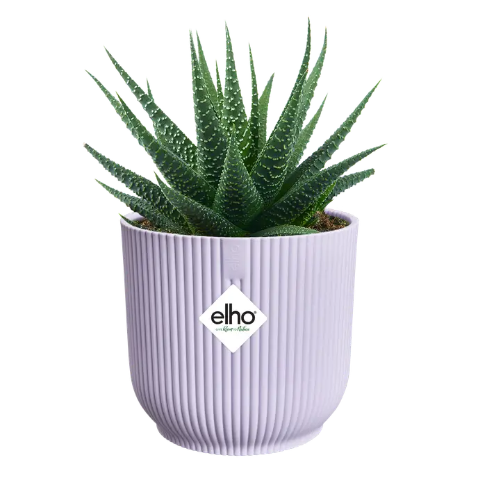 Vibes Plant Pot in Recycled Plastic