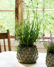 Potted plants in decorative pots on a table with a blurred background