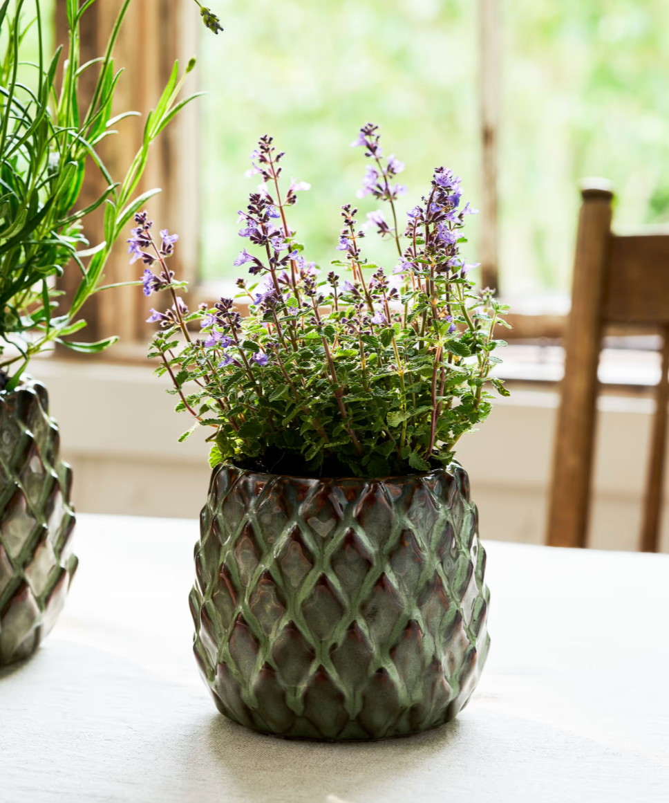 Decorative pot with a flowering plant on a table