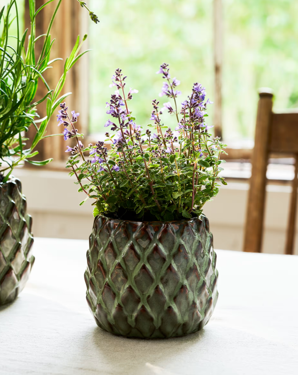 Decorative pot with a flowering plant on a table