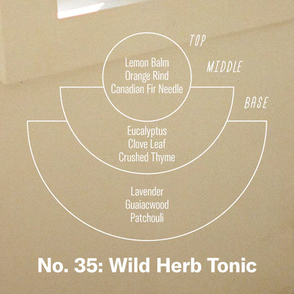 Wild Herb Tonic Reed Diffuser by P.F. Candle Co.