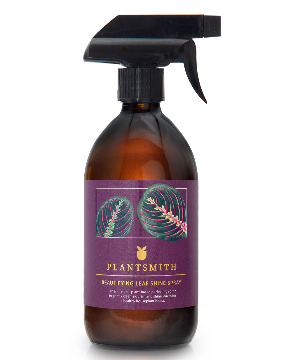 The Every Space natural Beautifying Leaf Shine Spray in glass bottle to clean and shine leaves, with cold-pressed oils and grapefruit by Plantsmith
