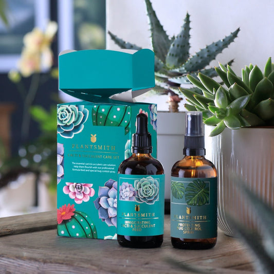 Cacti & Succulent Care Gift Cracker
