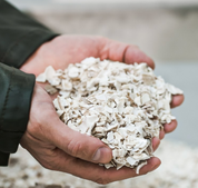 Crushed Whelk Shells