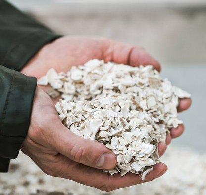 Crushed Whelk Shells