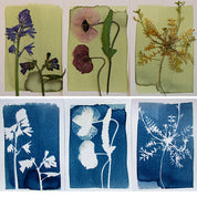 Cyanotype Kit