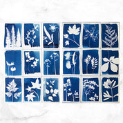 Cyanotype Kit