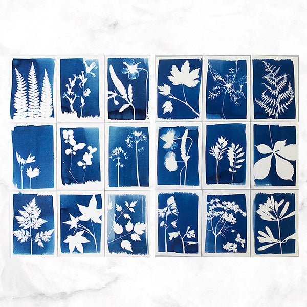 Cyanotype Kit