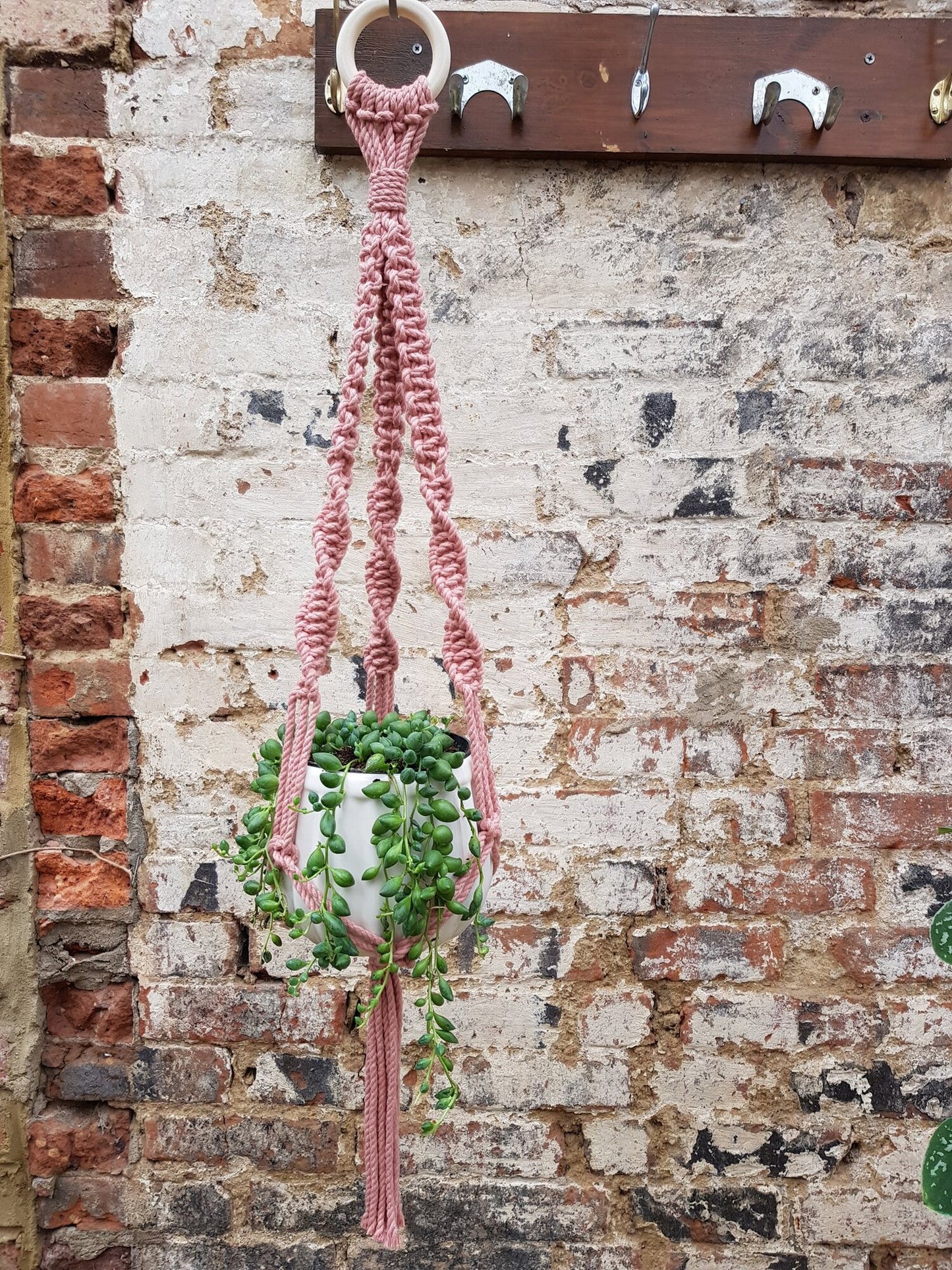 Macrame Plant Hanger in Pink