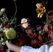 From Seed to Bloom: A Year of Growing and Designing With Seasonal Flowers