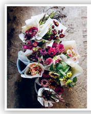 From Seed to Bloom: A Year of Growing and Designing With Seasonal Flowers