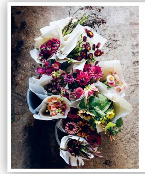 From-Seed-to-Bloom-AYear-of-Growing-and-Designing-With-Seasonal-Flowers2.png
