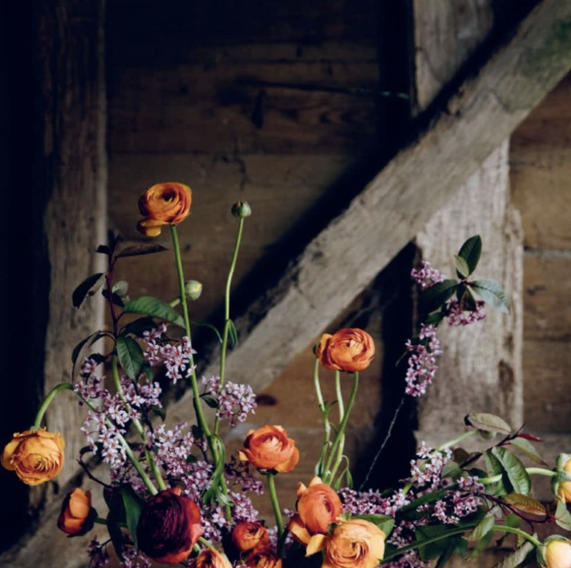 From Seed to Bloom: A Year of Growing and Designing With Seasonal Flowers