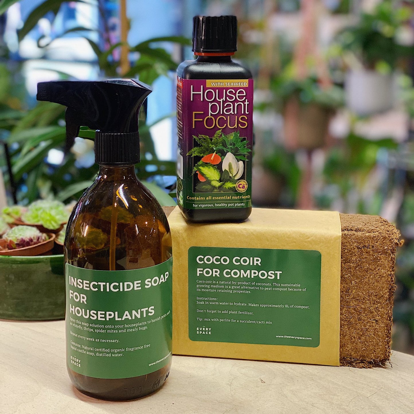House Plant Care Bundle by The Every Space