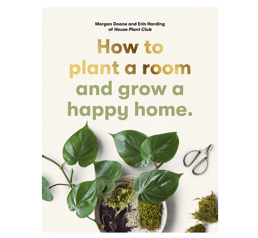 How To Plant A Room And Grow A Happy Home